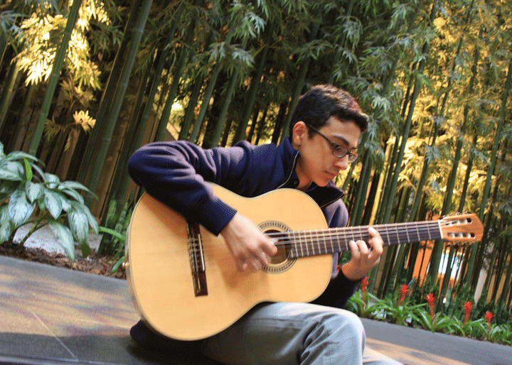 Classical Guitar musician 